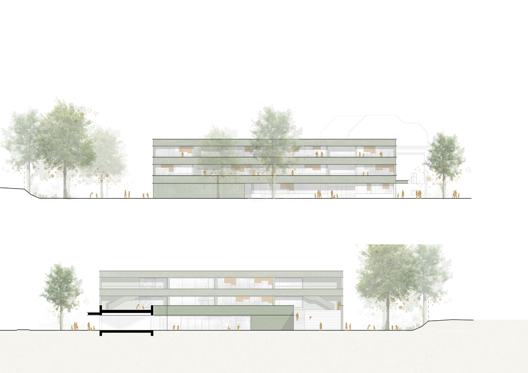Elevations